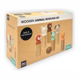 Bubble Wooden Shape Sorting Cube